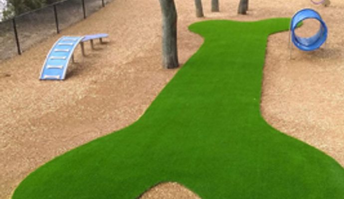 Pet park