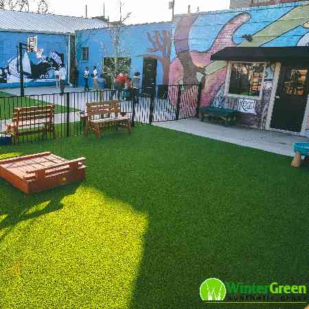 Commercial Property Amenity Lawn - Field Storefront