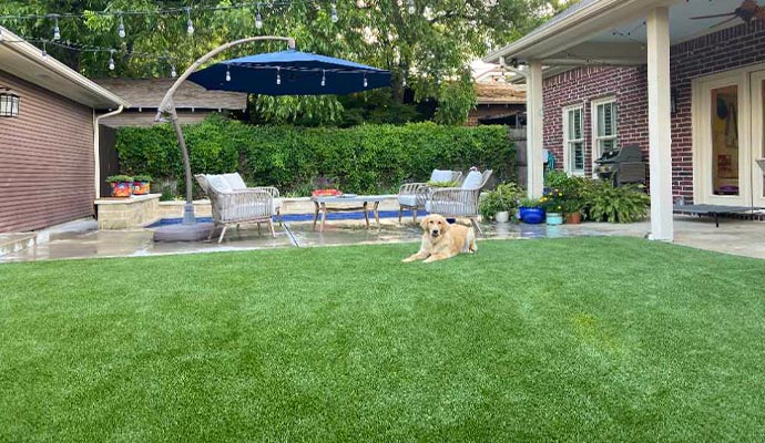 Pet-friendly artificial turf lawn Dog relaxing on an artificial turf lawn in a backyard.
