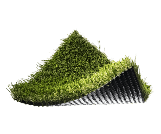 Texas Fescue Product Image
