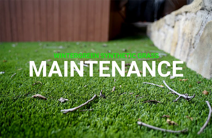 A beautiful residential backyard featuring a lush artificial turf lawn, a curvy swimming pool in DFW Video Thumb