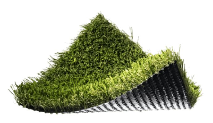 Sample of texas fescue turf
